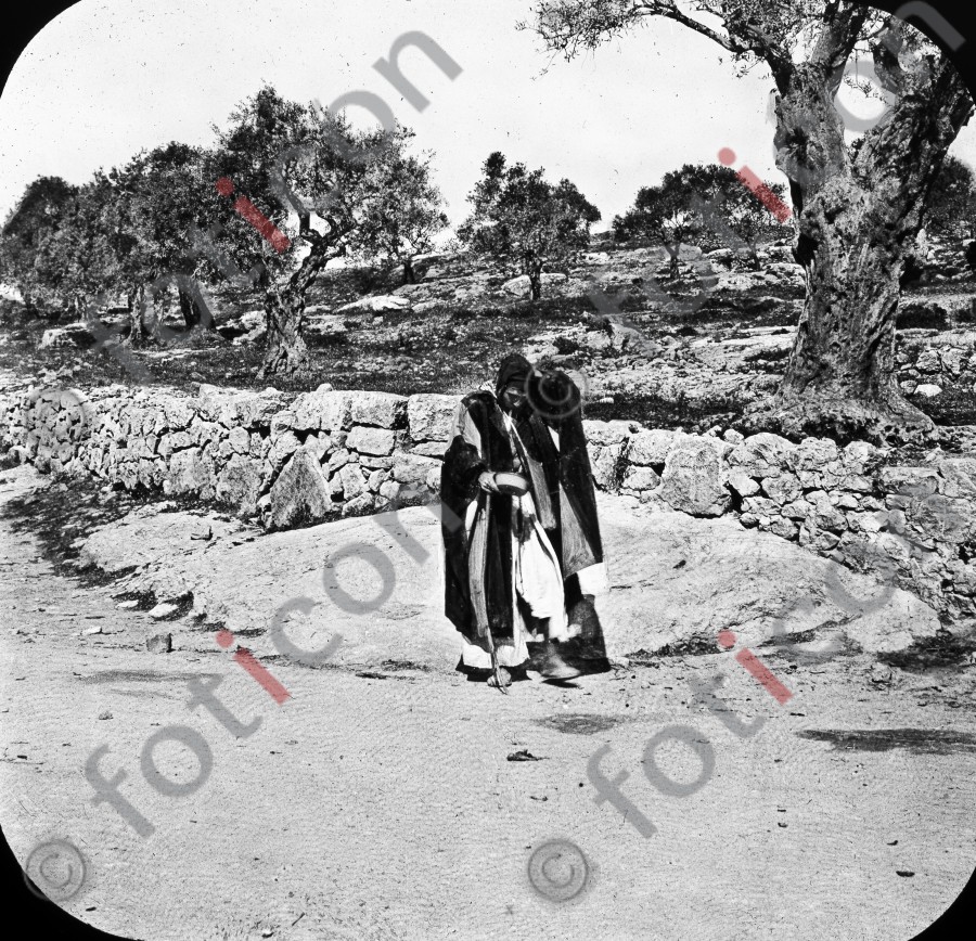 Hirten in Palästina | Shepherds in Palestine (foticon-simon-heiligesland-54-049-sw.jpg)